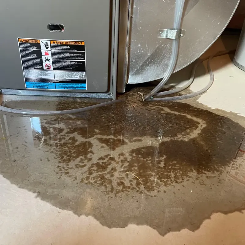 Appliance Leak Cleanup in Medora, ND